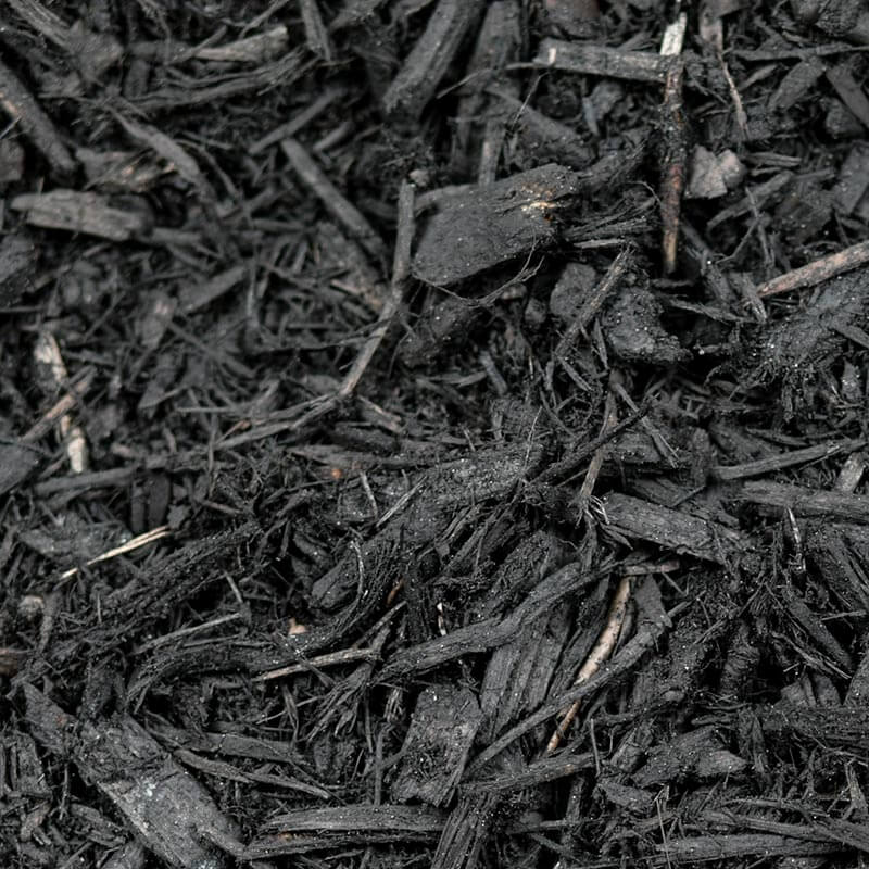 Black Mulch