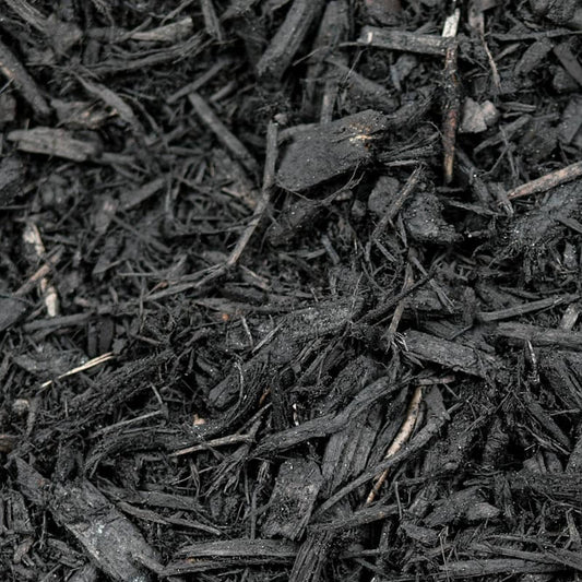 Black Mulch
